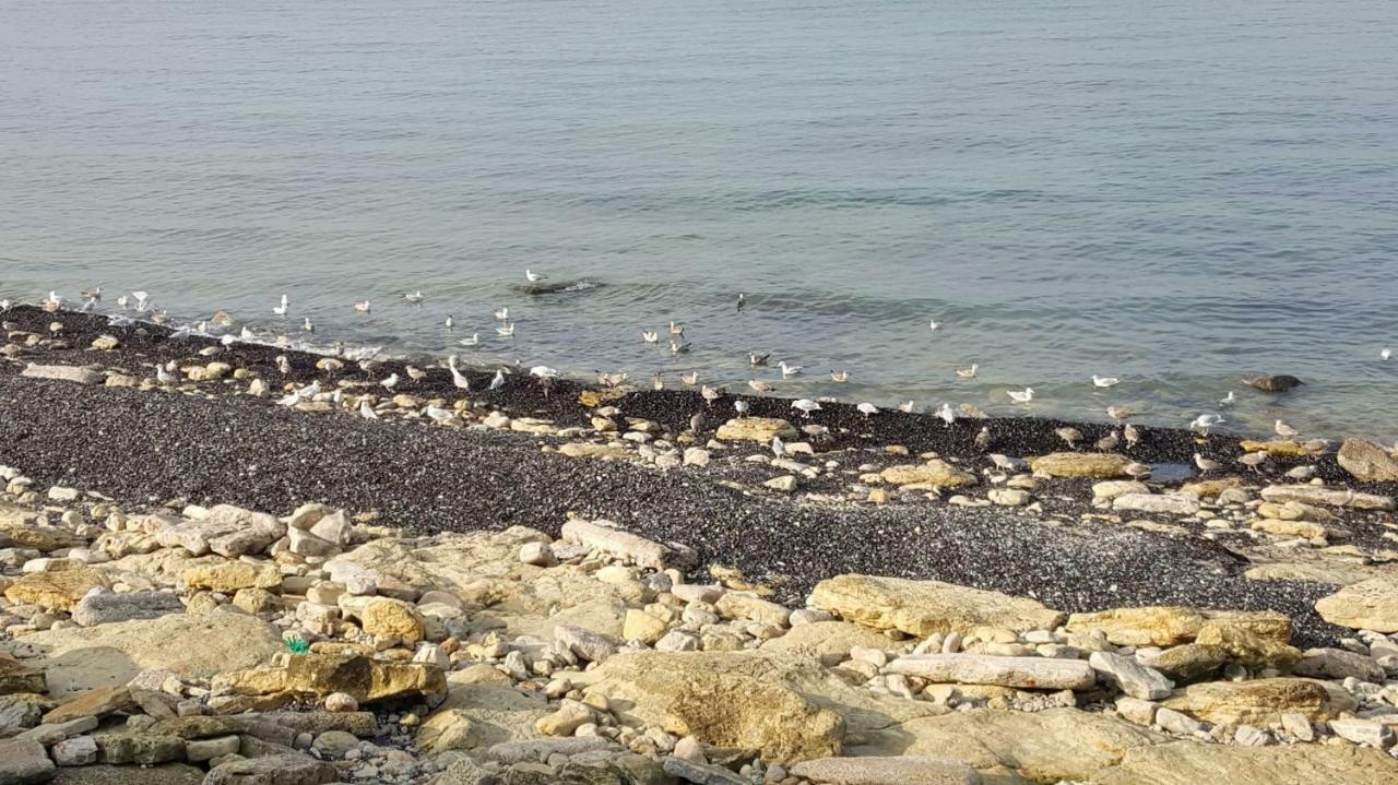 La Naturelle 119 Wimereux Eksteriør bilde