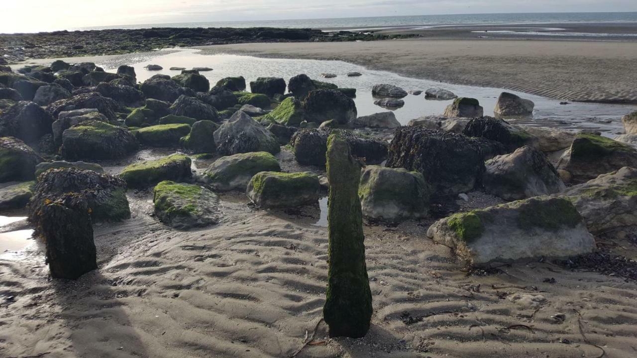 La Naturelle 119 Wimereux Eksteriør bilde
